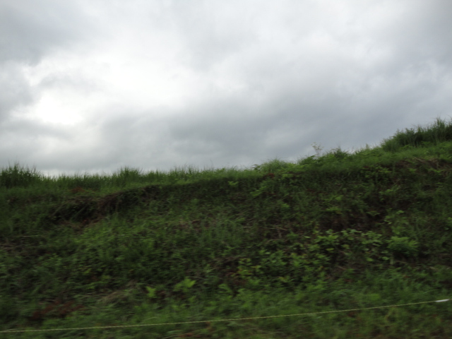d0109373_15923.jpg