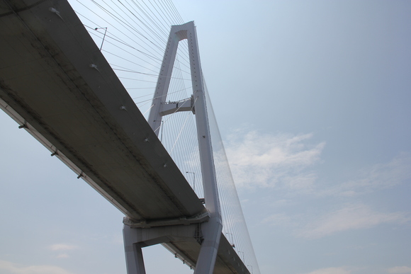 d0187275_2019547.jpg