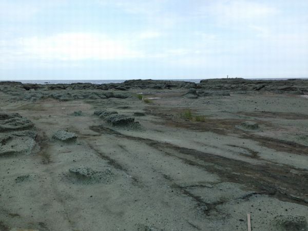 d0082980_924094.jpg