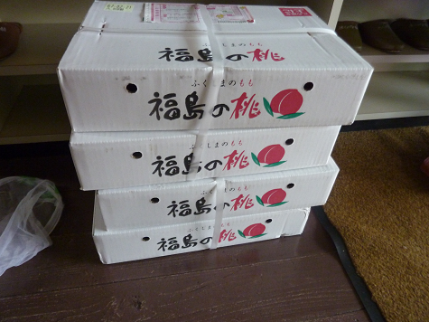 d0238083_3151465.png
