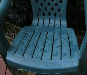 e0130185_12524980.jpg