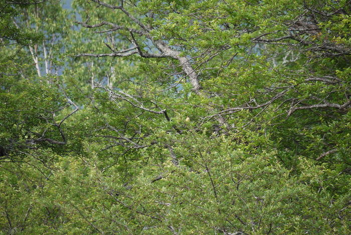 a0127090_164717.jpg