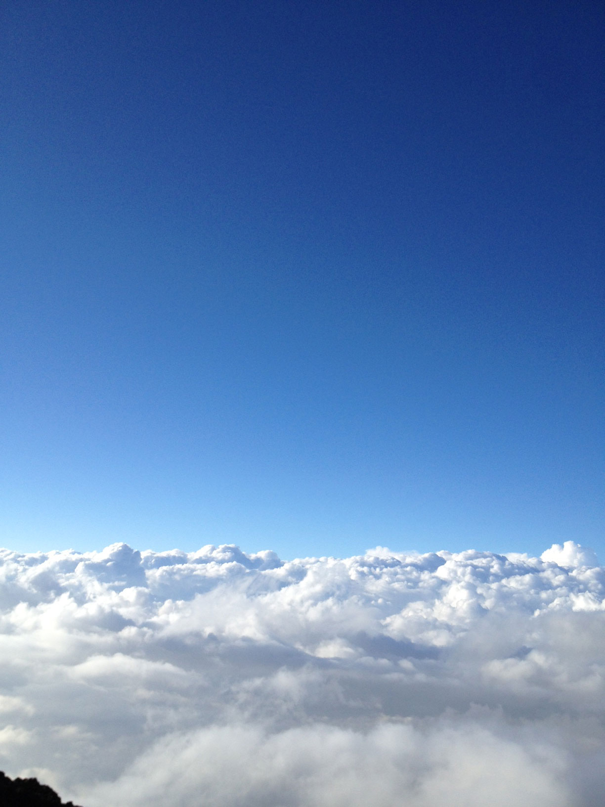 c0166293_17304443.jpg
