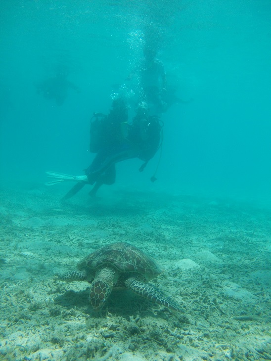 a0252596_19214913.jpg