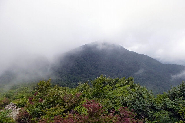 e0137200_23164951.jpg