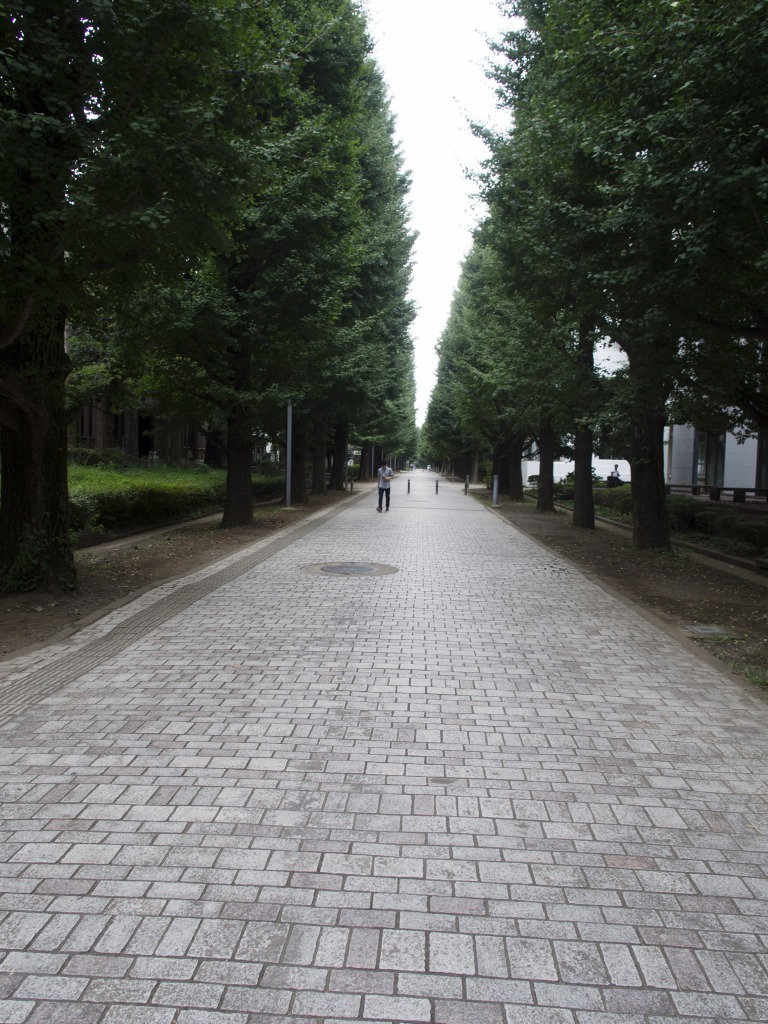 f0224100_6173594.jpg