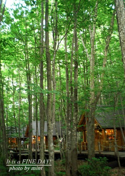e0155609_18114357.jpg