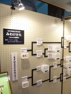 b0223711_10121471.jpg