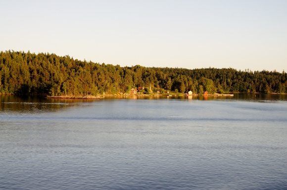 d0241813_048415.jpg