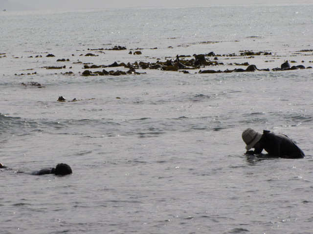 d0232115_2053721.jpg