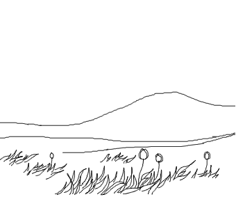 e0136420_1223468.gif