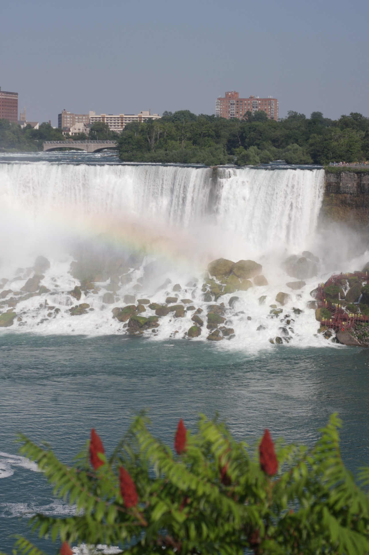 e0280023_19312646.jpg