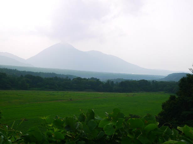 f0231829_19552914.jpg