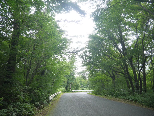 f0231829_1957534.jpg