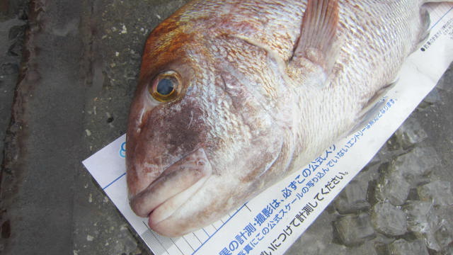 a0132631_14591624.jpg