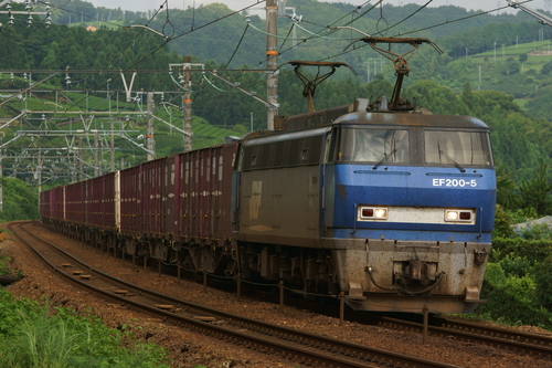 d0223231_12405547.jpg