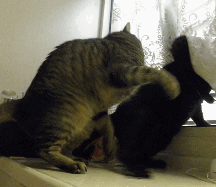 c0136736_2125875.gif