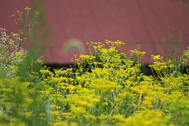 a0242438_19185570.jpg