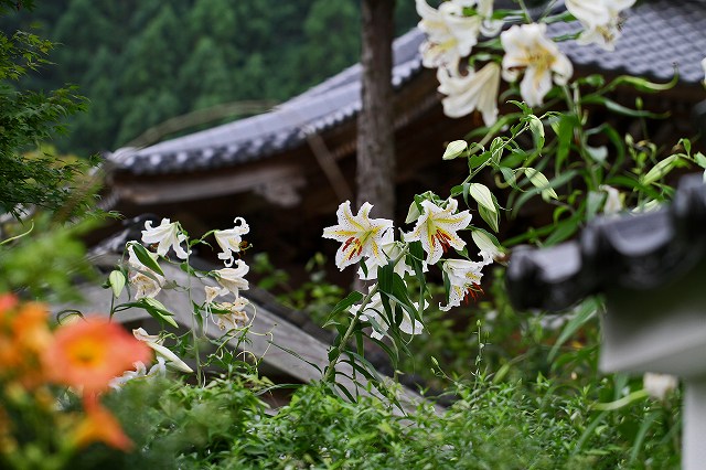 a0242438_19293559.jpg