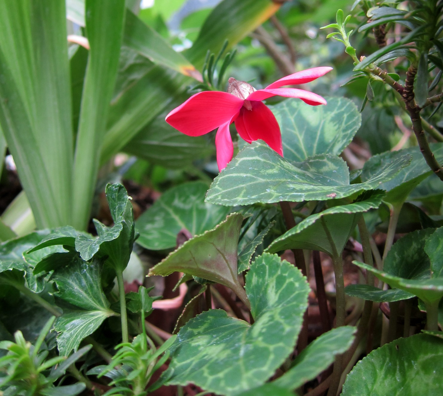 b0178339_1553986.jpg