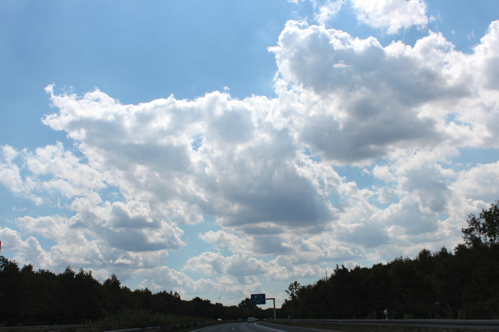c0153740_2019169.jpg