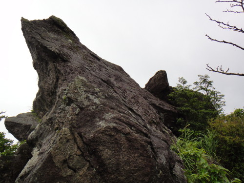 c0179351_20375133.jpg