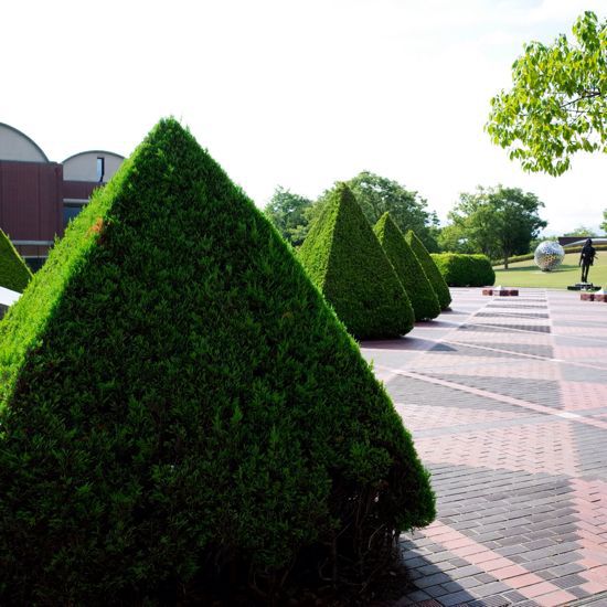 e0203652_982292.jpg