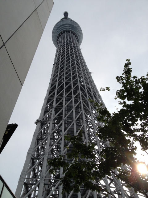 e0033156_6131871.jpg