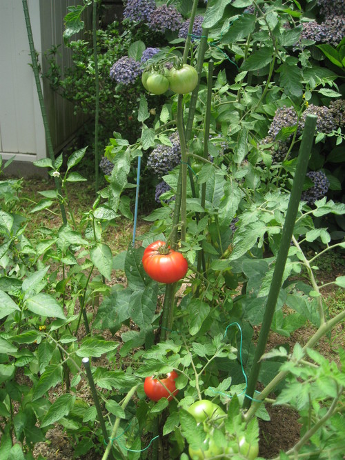 f0279566_13304874.jpg