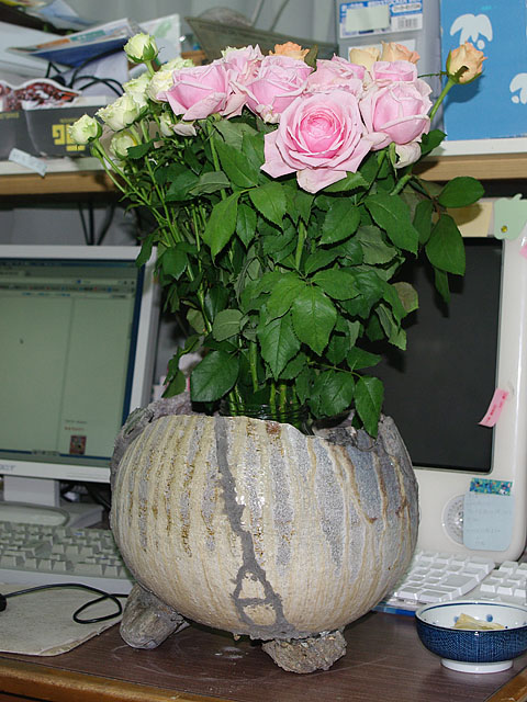 c0068168_11324122.jpg