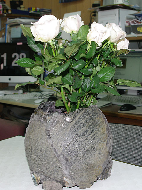 c0068168_11325227.jpg