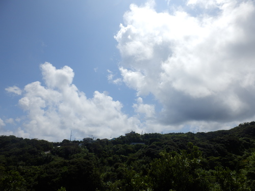 e0292172_2051193.jpg