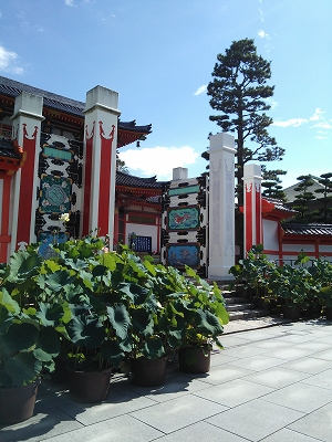 d0144077_20391415.jpg