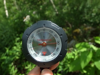 e0271890_1643242.jpg