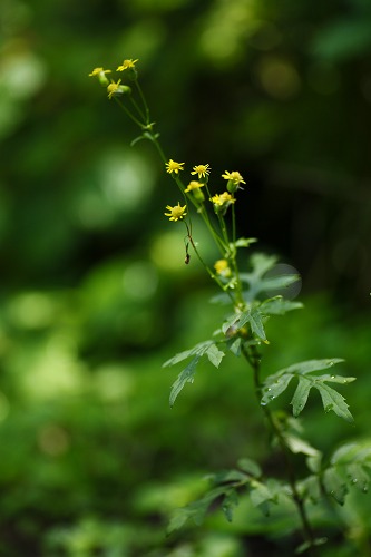 b0255992_23121639.jpg