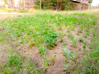 e0250594_2153047.jpg