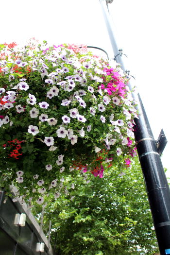 c0090198_384786.jpg