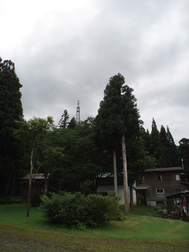a0061599_7221732.jpg