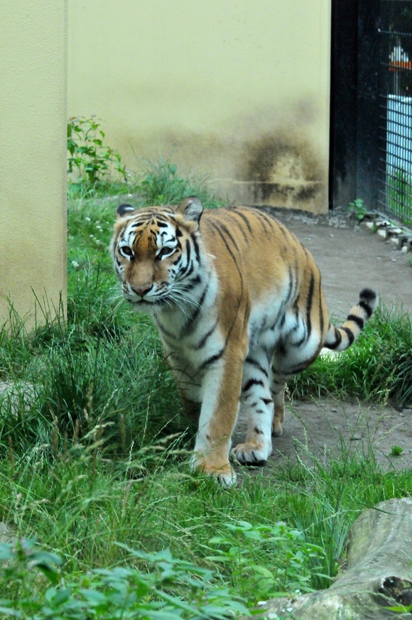 e0319302_1322861.jpg