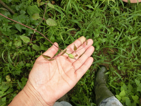 a0203003_17272376.jpg