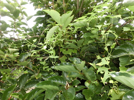 a0203003_17282724.jpg