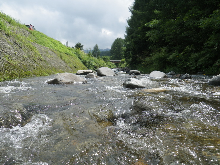 d0257922_19205875.jpg