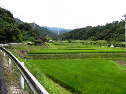 f0213825_16324739.jpg