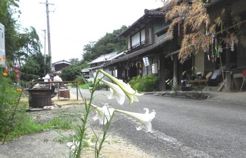 f0213825_16530100.jpg