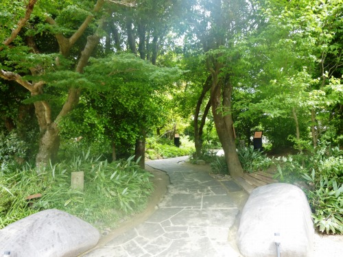 d0086228_23341360.jpg