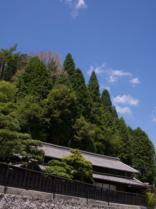 b0134829_11582027.jpg