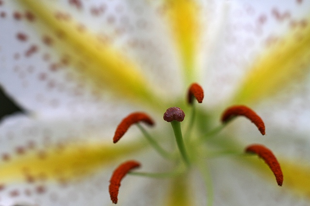 a0242438_19234226.jpg