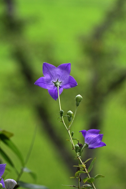 a0242438_1925047.jpg