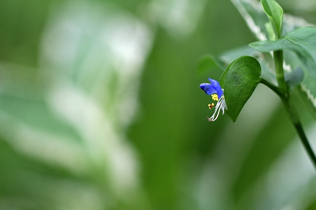 a0242438_19252352.jpg