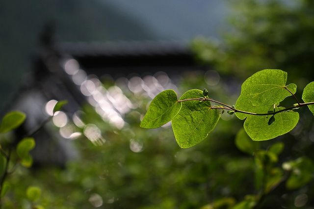 a0242438_19263981.jpg